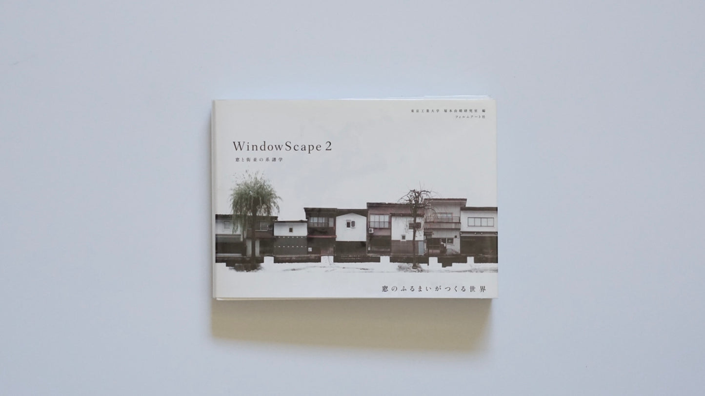 WindowScape 2: Genealogy of Windows and Streetscapes