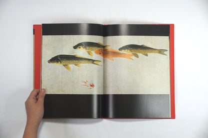 Aoki Komoda Bug Fish Picture Book