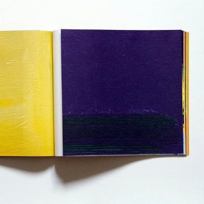 Afternoon Paintings Stanley Whitney