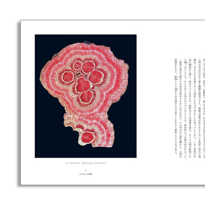 「新刊」石が書く