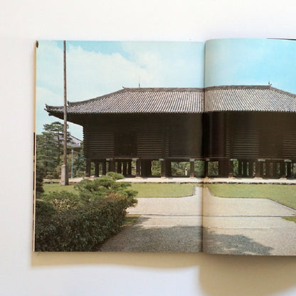 Treasures of Shosoin, Taiyo Special Edition, Preservation Edition