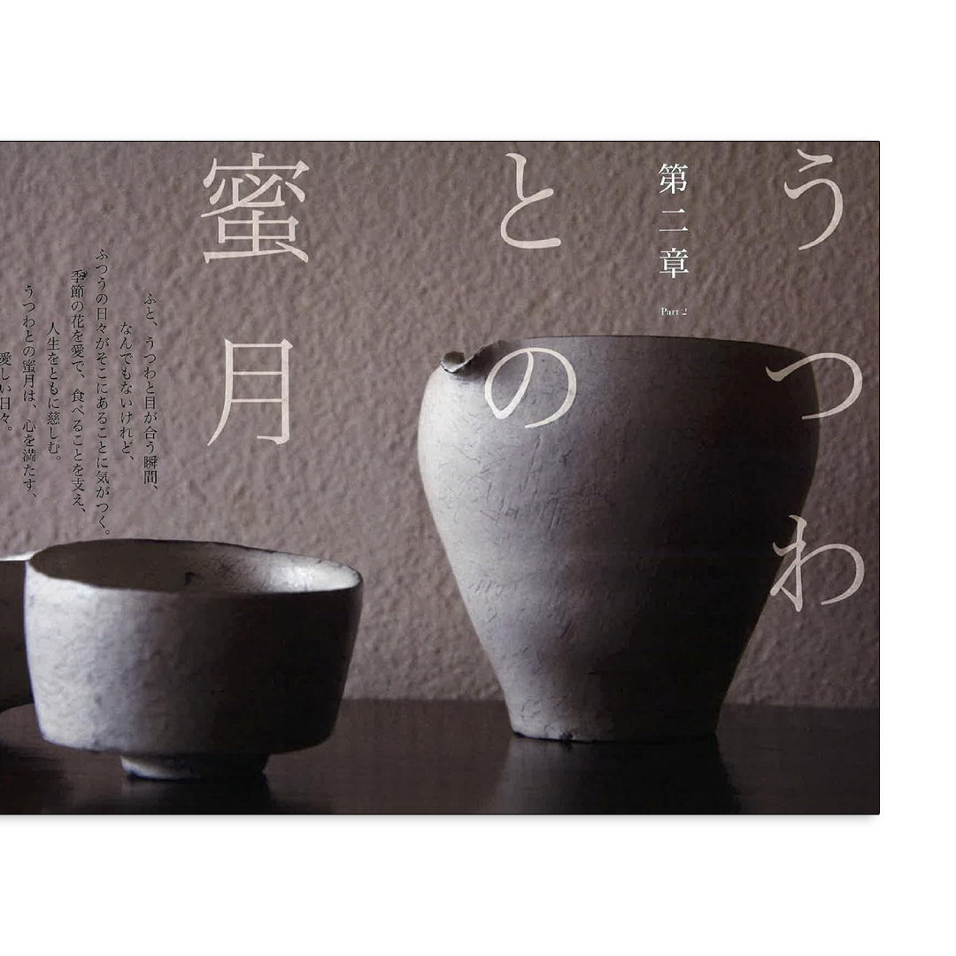 「新刊」うつわを愛する utsuwa Shoken Tomoo kokiriyama