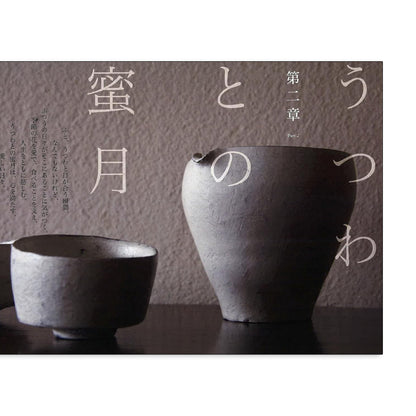 「新刊」うつわを愛する utsuwa Shoken Tomoo kokiriyama