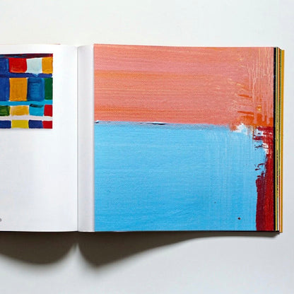 Afternoon Paintings Stanley Whitney