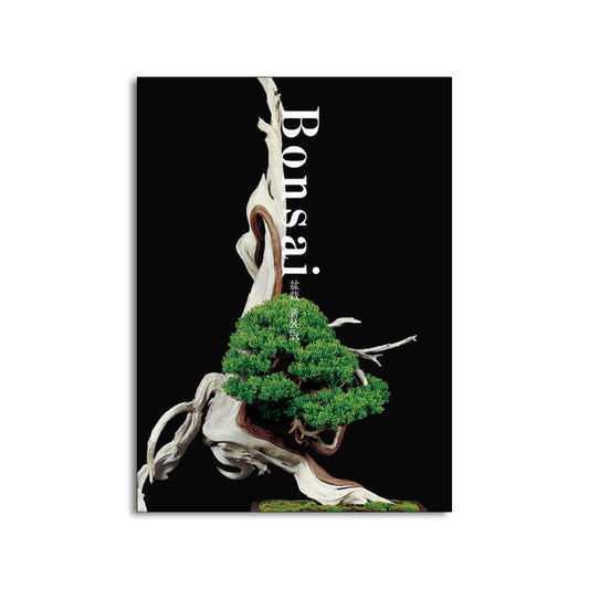 「新刊」Bonsai 盆栽 新装版 kokiriyama