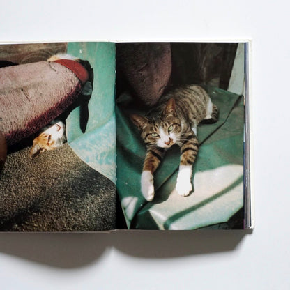 YOSHITOMO NARA photographs 1983-2003 奈良美智写真集 kokiriyama