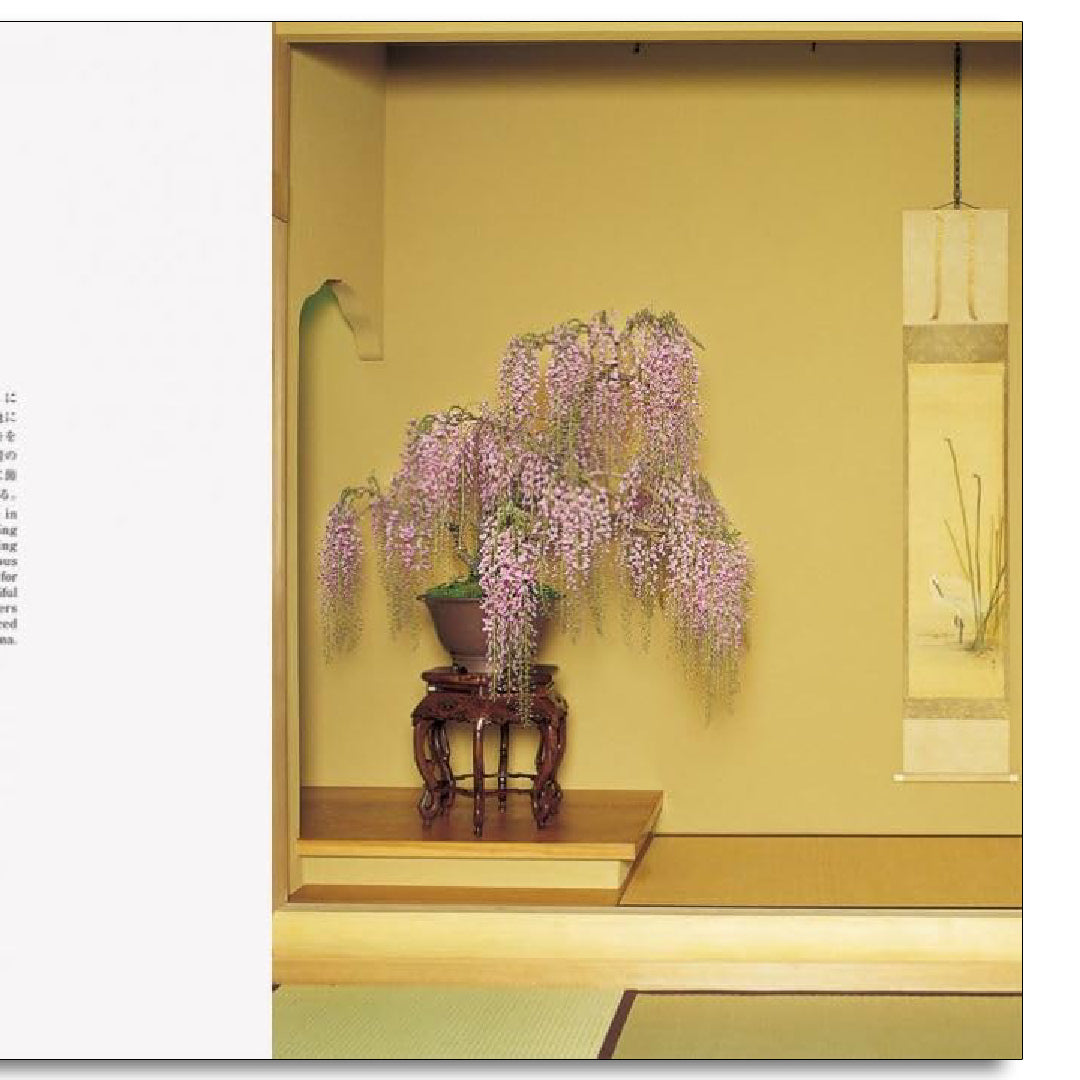 「新刊」Bonsai 盆栽 新装版 kokiriyama