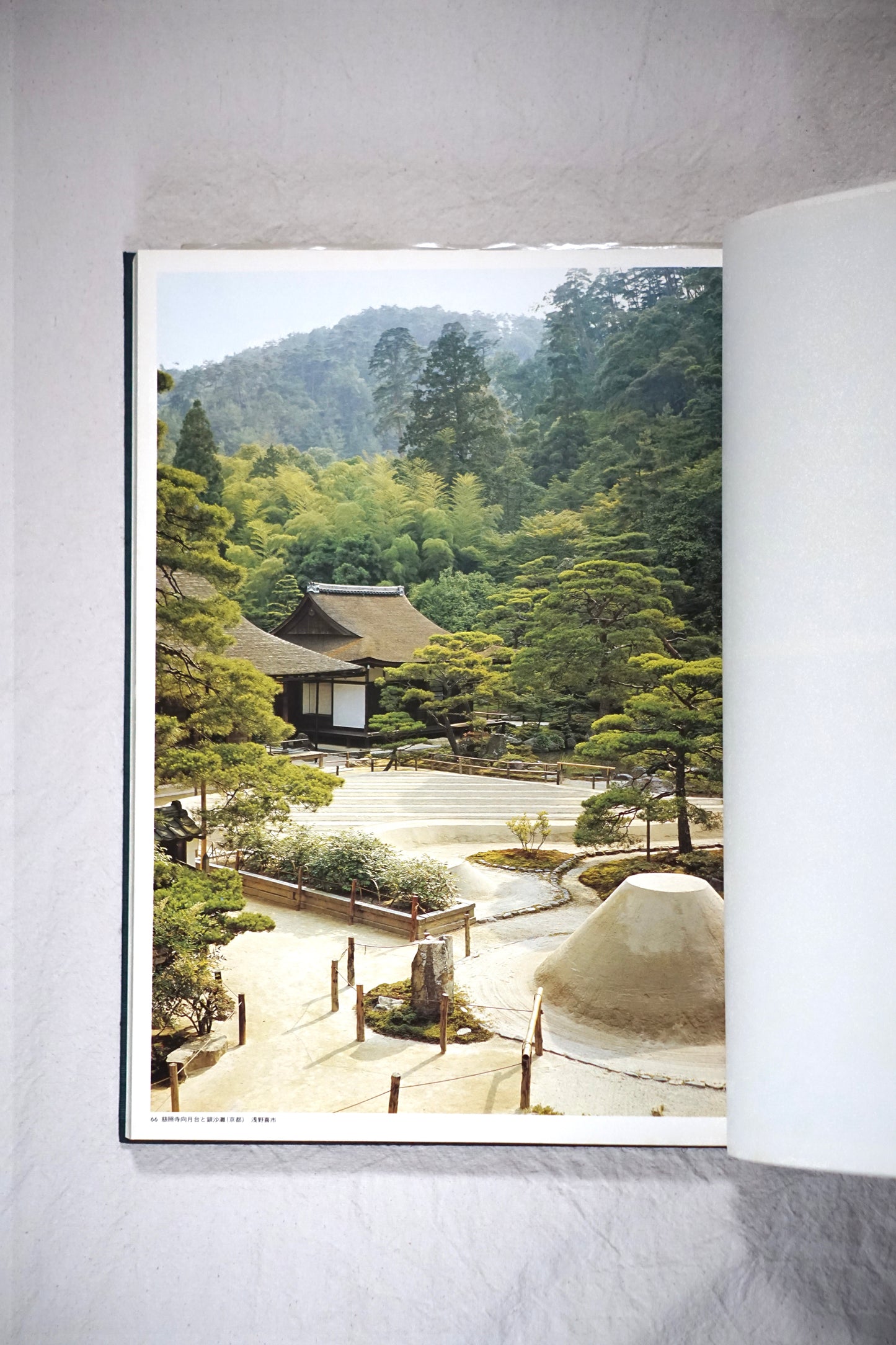 Japanese garden set of 2 volumes
