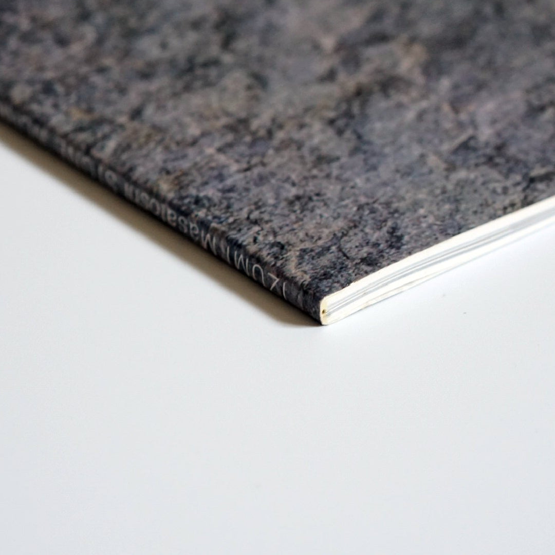 IZUMI Masatoshi Stone Works in Sapporo 2000