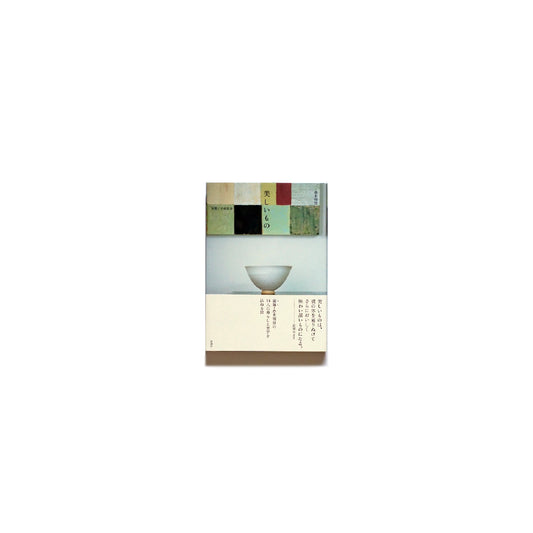 「NEW BOOKS」 Beautiful Things by Akito Akagi