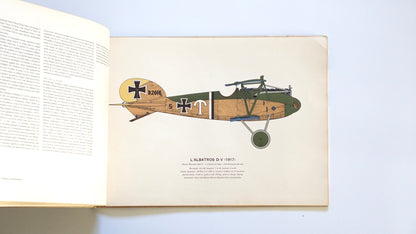 LES PREMIERS AEROPLANES 1907-18