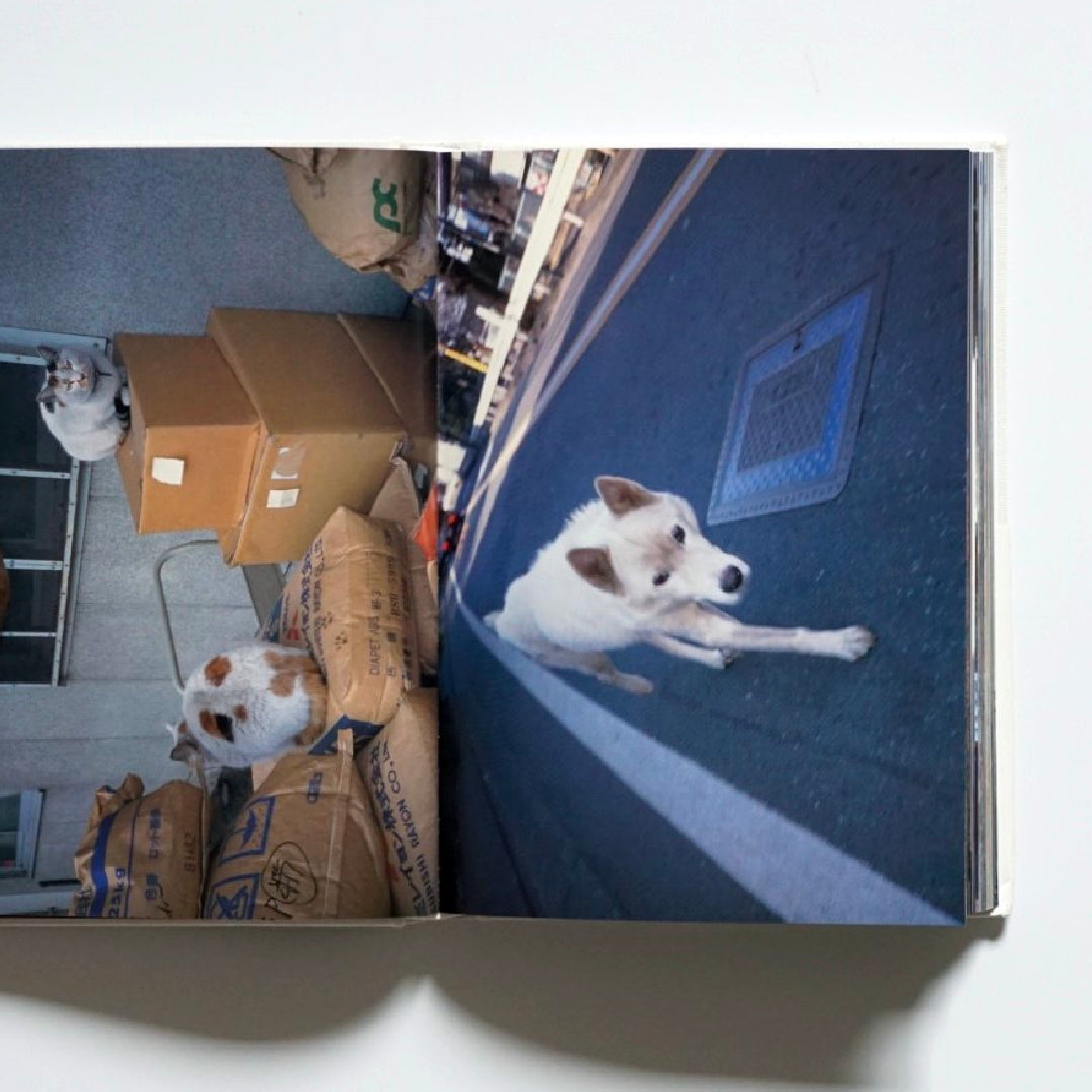 YOSHITOMO NARA photographs 1983-2003 奈良美智写真集 kokiriyama