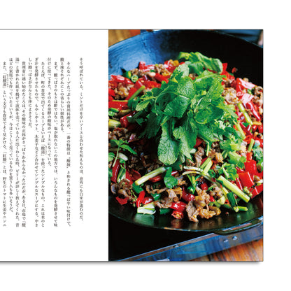 「NEW BOOKS」Chinese Handicraft Travelogue, Expanded Edition