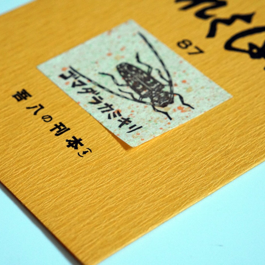 吾八書房 これくしょん 8冊