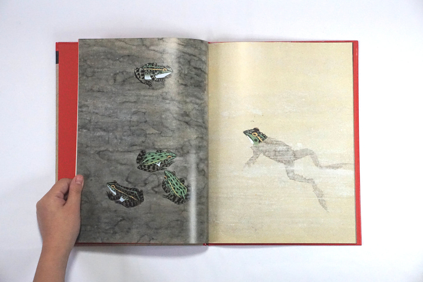 Aoki Komoda Bug Fish Picture Book