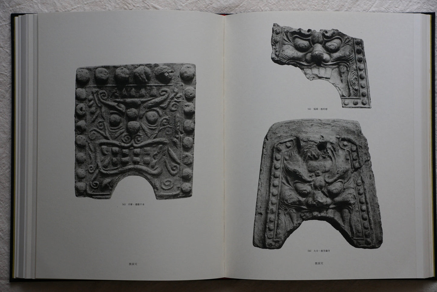 Ancient roof tiles from Asuka and Hakuho, including surveyed maps