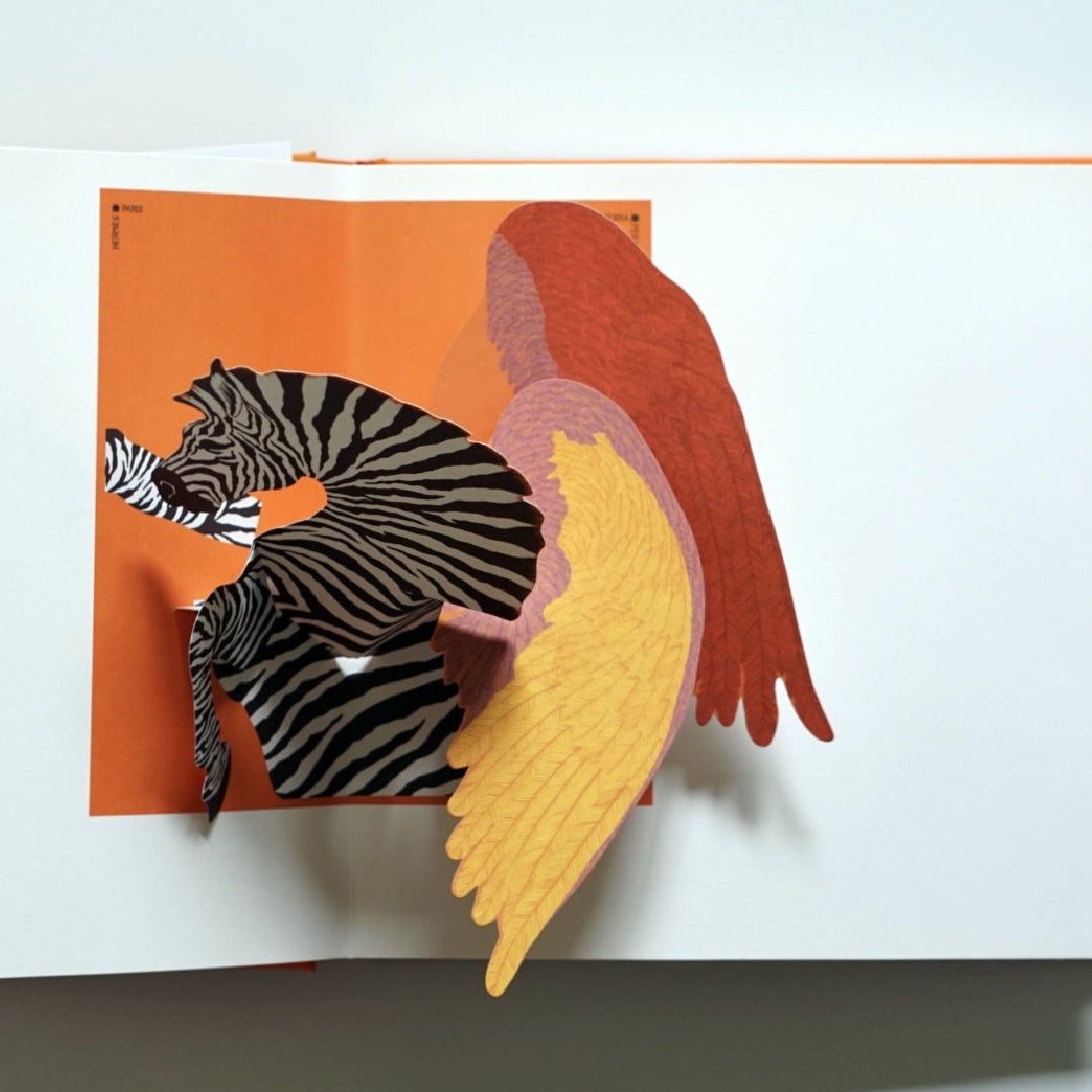 Hermès Pop Up