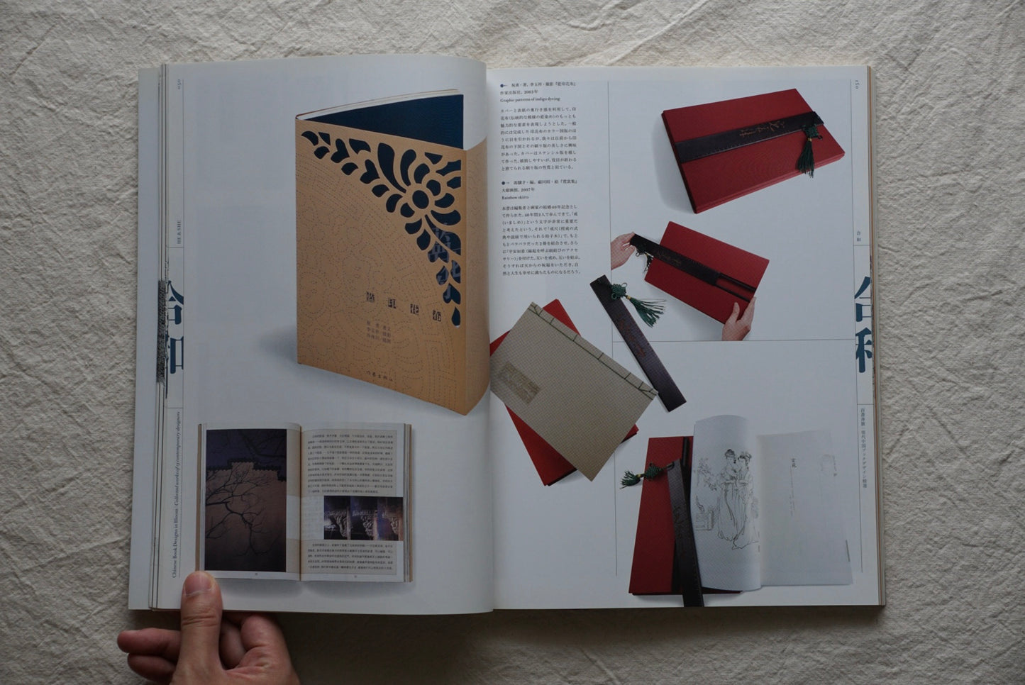 Ideas Feature: Book Design in Modern China