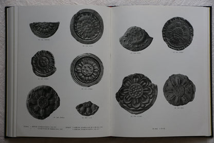 飛鳥白鳳の古瓦  實測図共