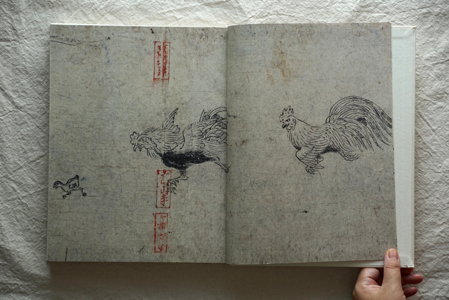 Bird-cutting painting Treasure of Kozanji Temple, Kyoto 