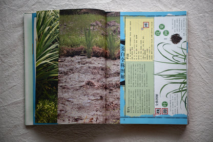 漢聲雜誌 中國水生植物：蘇州水八仙 9册