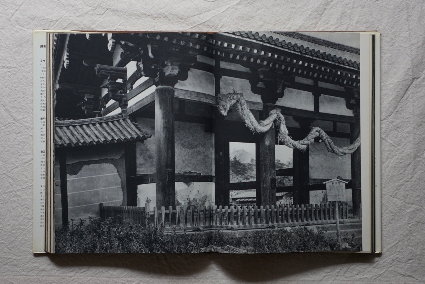 Japanese temples in Nara