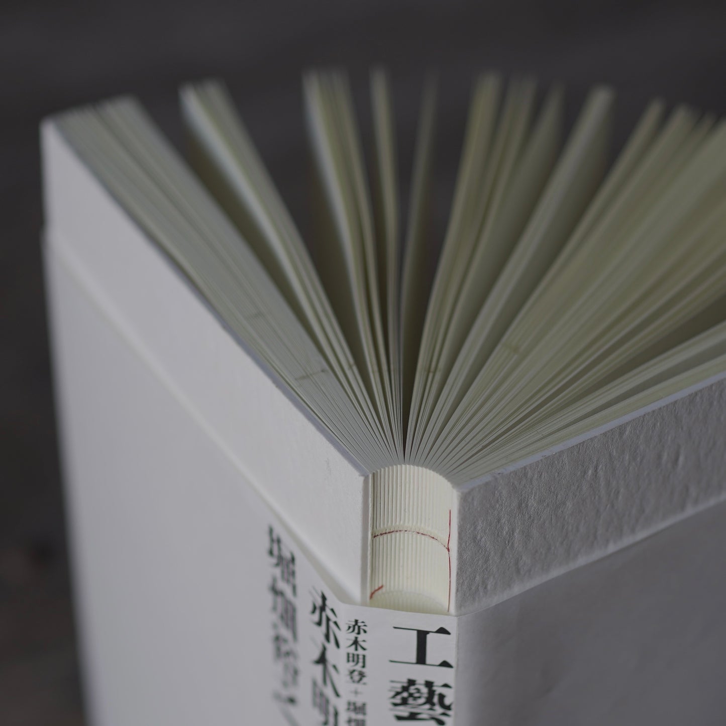 What Is Craft?  by Akito Akagi and Hiroyuki Horihata (co-authors)